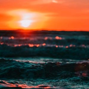 Meet your Posher, Daphne